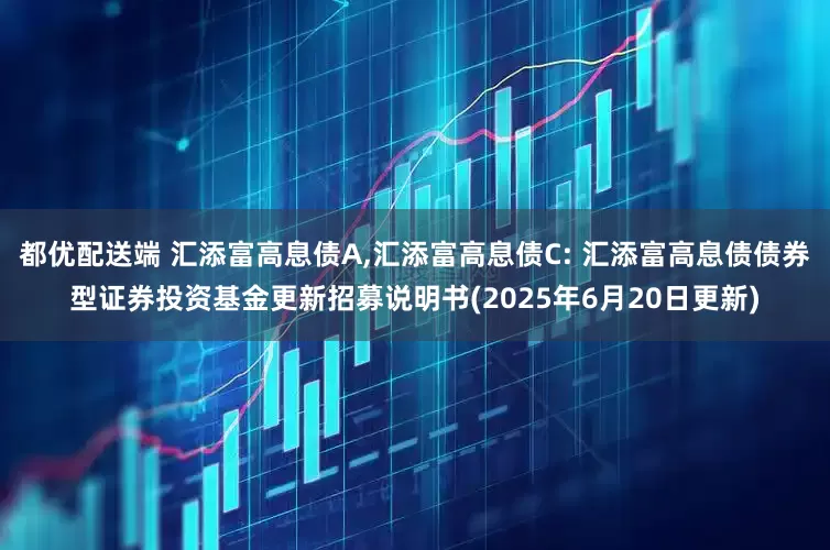 都优配送端 汇添富高息债A,汇添富高息债C: 汇添富高息债债券型证券投资基金更新招募说明书(2025年6月20日更新)