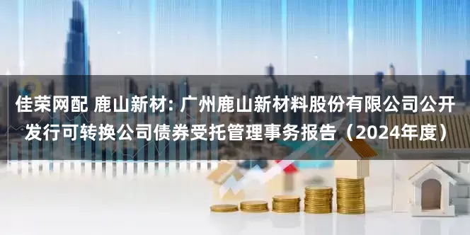 佳荣网配 鹿山新材: 广州鹿山新材料股份有限公司公开发行可转换公司债券受托管理事务报告（2024年度）