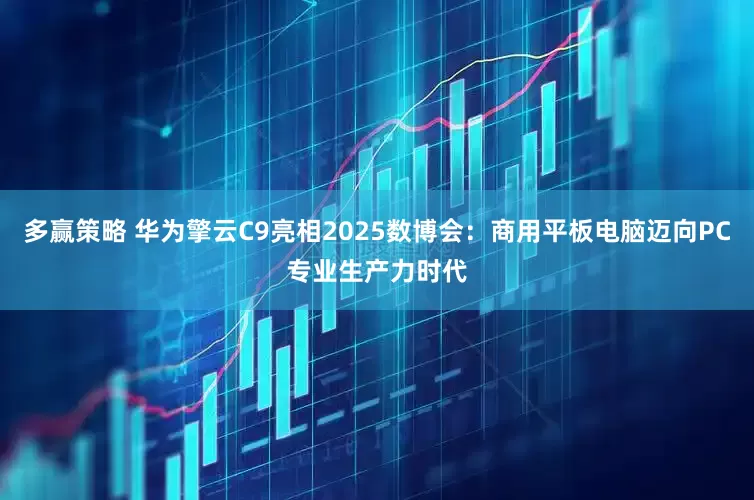 多赢策略 华为擎云C9亮相2025数博会：商用平板电脑迈向PC专业生产力时代