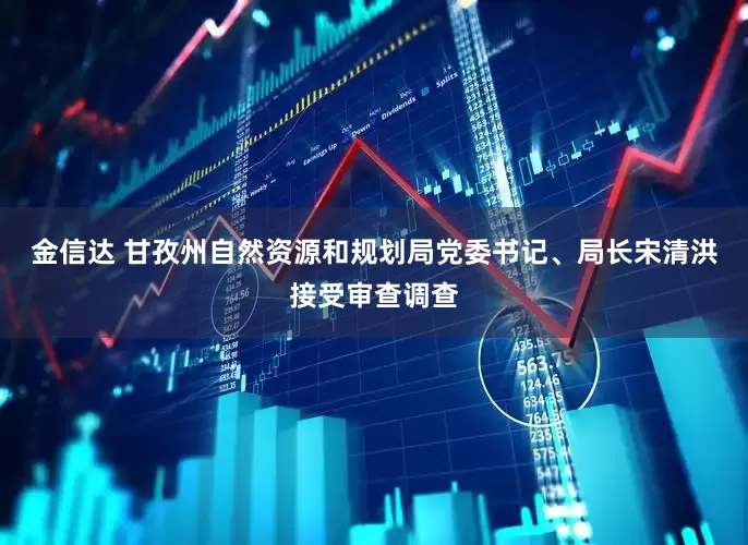 金信达 甘孜州自然资源和规划局党委书记、局长宋清洪接受审查调查